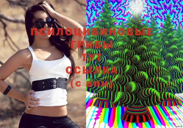 СК Бугульма