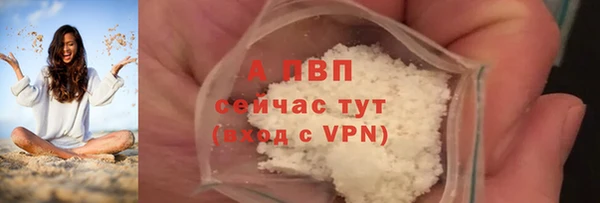 мдпв Верея