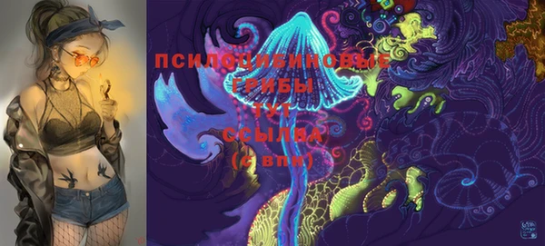шишки Бронницы